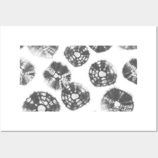 Shibori Kumo tie dye gray dots over white Posters and Art